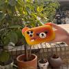 3D Cartoon Bear Drop-Proof Phone Case for iPhone 14/13/12/11/10/9/8/7/Pro/ProMax