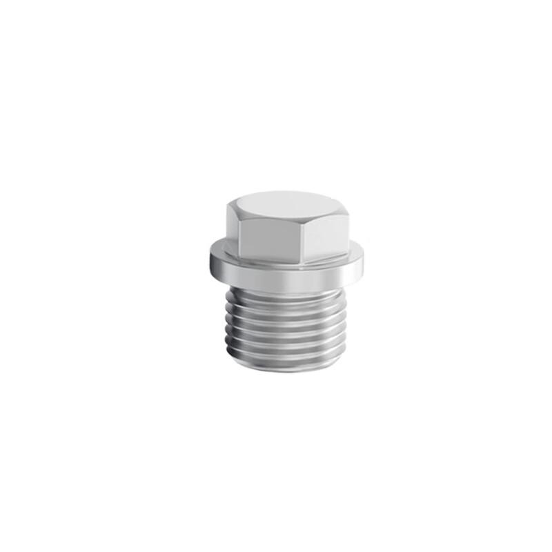 WMN 304 Stainless Steel Threaded Plug