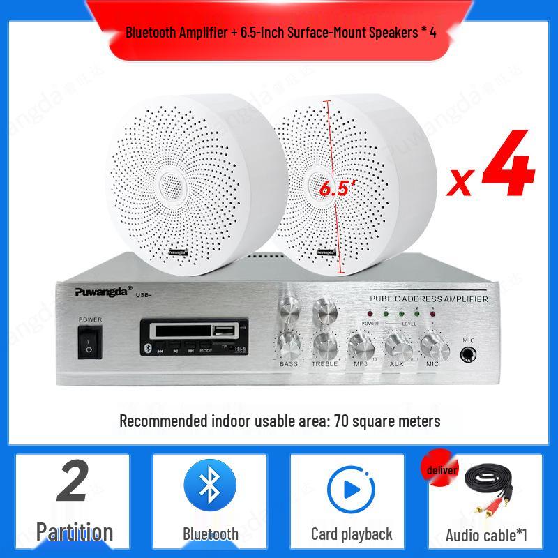 Wireless Indoor Ceiling Speaker with Wall-Mountable Hanging System