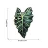 Creative Acrylic Tropical Plant Magnetic Fridge Sticker - Simulation Leaf Design