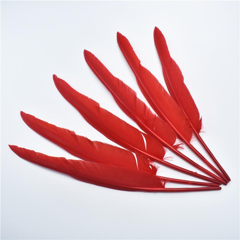 

50 шт. Перо индейки Утиное указательное крыло Гусиное перо Поделки 25-30 см длиной Белый Черный Аксессуары Карнавальный набор