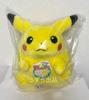 TAKARA TOMY 30th Anniversary Welcome Pikachu Plush Toy [Brand New, Unopened] Pokémon Back! 1/1