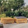 2 Piece Garden Lounge Set Solid Teak Wood