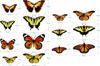 Decorative Stickers for Kids - Orange Butterflies