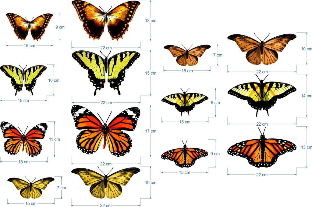 Decorative Stickers for Kids - Orange Butterflies
