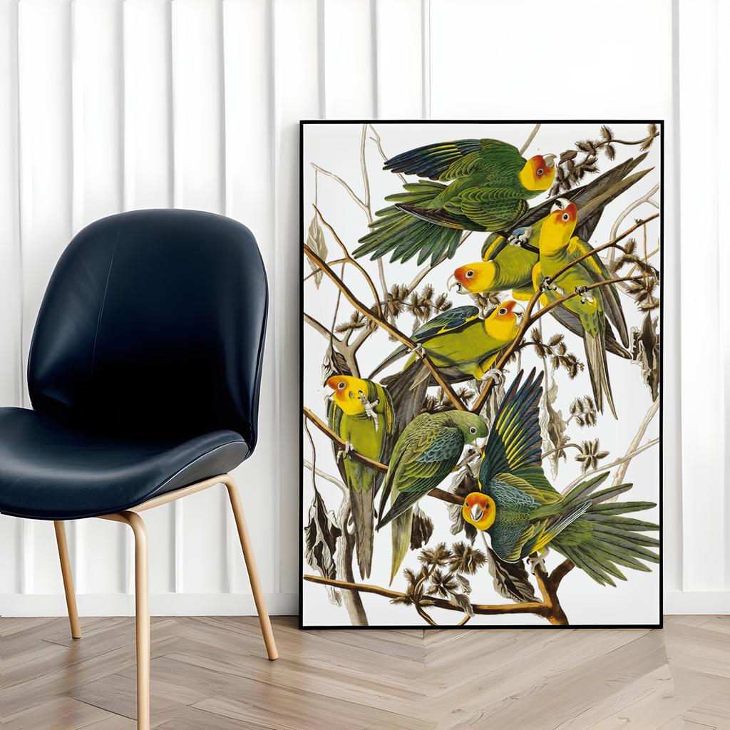 Parrot Poster Retro Vintage Posters