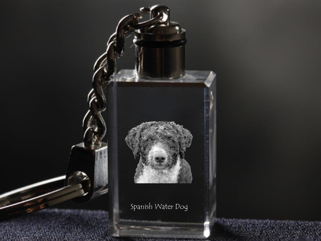 Spanish Water Dog - Crystal Key Ring with Dog Photo, Illuminated Key Ring, Unique Gift by Art-Dog Brand