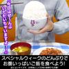 COSPA Uma Musume Pretty Derby Special Week x Ceramic Bowl, Approx. 14 H8.5cm,