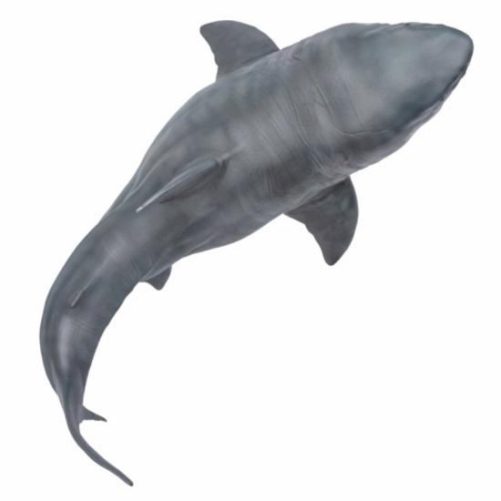 Megalodon Patton Ancient Shark Figure PNSO Open So, Popular Toys In Korea