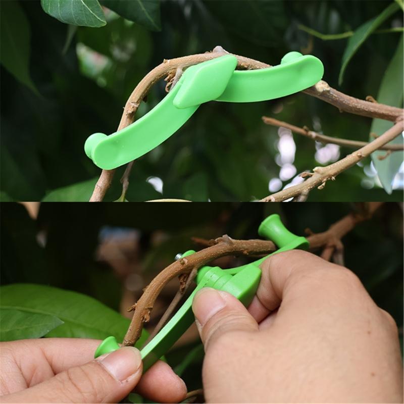 Adjustable Plant Clips For Indoor Cultivation Branch Benders Maximizing Airflow Light Penetration