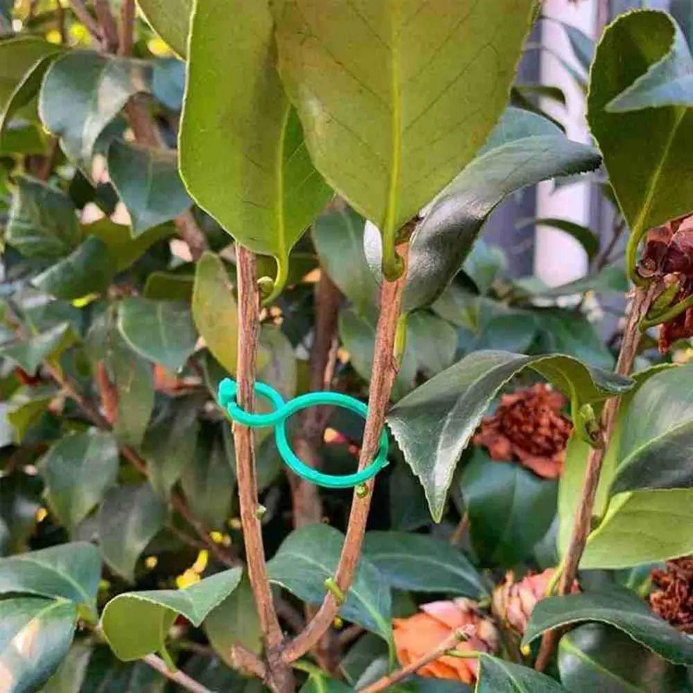 50Pcs Bundled Upright Plant Holder Green Tie Vine Strapping Clips New Garden Plant Clips