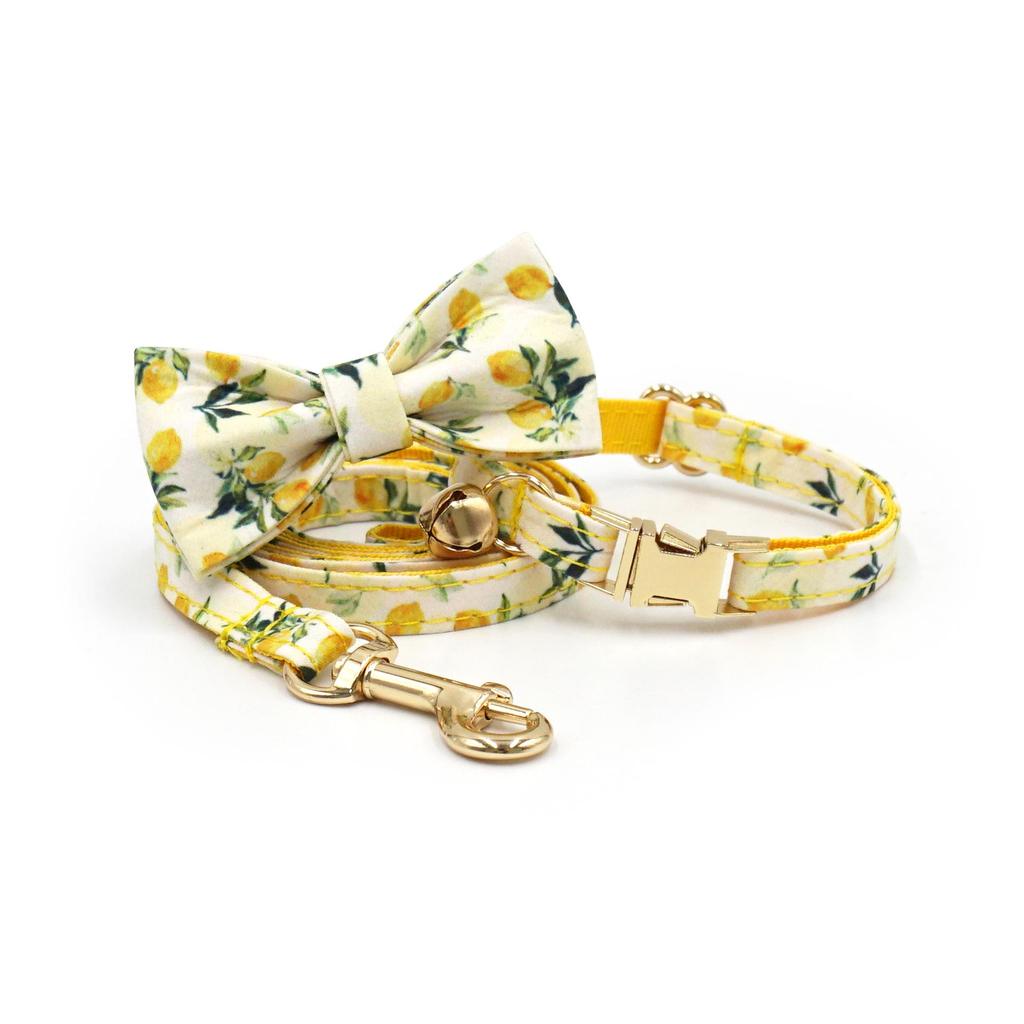 Summer Fruit Floral Cat Collar Set with Laser Engraving Option
