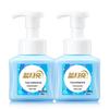 Blue Moon Foaming Hand Wash - Grain Scent Twin Pack