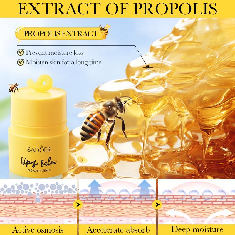 Propolis Vitamin E Essence Lip Balm Hydrating and Moisturizing Autumn and Winter Lip Balm