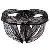 Domila Erotic Underwear Sexy Lace Perspective Bow Hollow Erotic Underwear