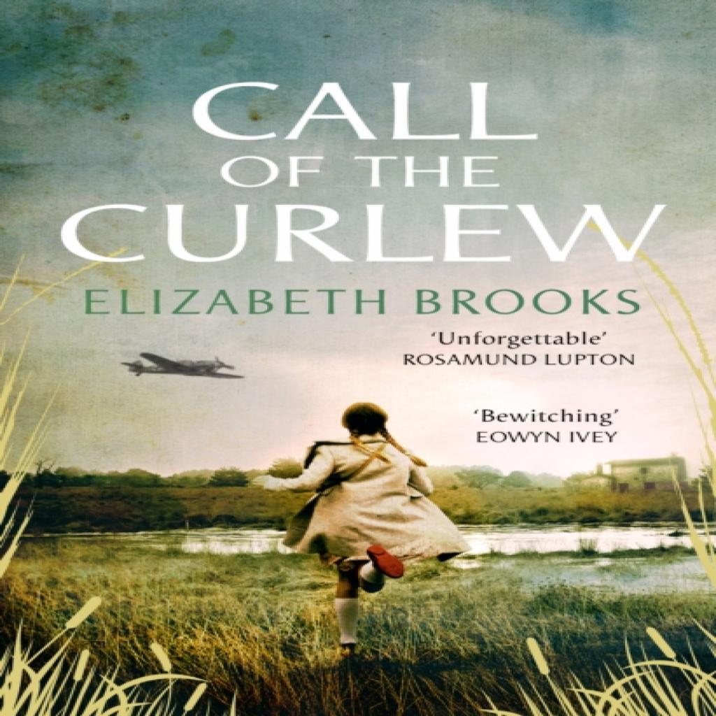 Call of the Curlew by Elizabeth Brooks Paperback Book 9781784163495