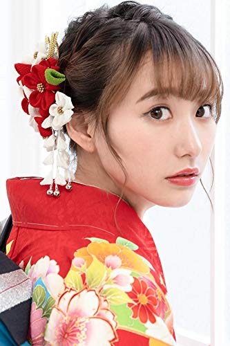 Hair Coming of Age Graduation Tsumami Wisteria Fall Hair Graduation Hair Made In Japan [SOUBIEN] Ornament, Ceremony, Ceremony, Crafts, 2-Piece Set,