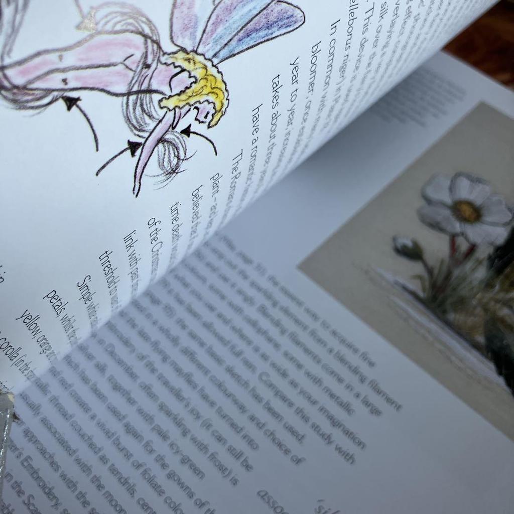 [USED] Books Embroidery EMBROIDERER'S YEAR Helen M. Steven