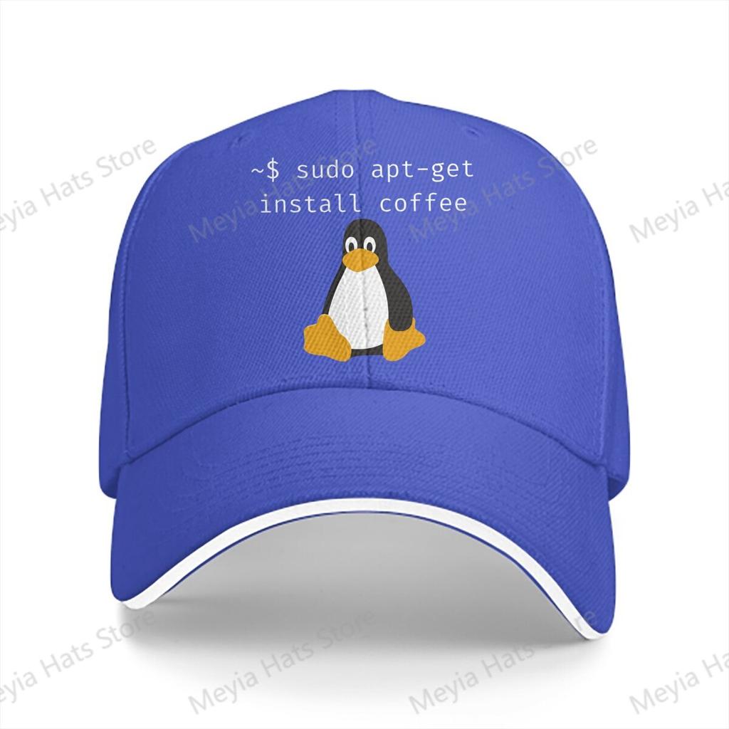 linux Sudo Apt Get Install Coffee Kali Linux Root Programmer Baseball Cap Unisex Hats Women Visor Cycling Snapback Caps