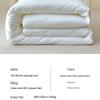Muji Milk Silk Soft Quilt