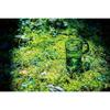 CaptaIn Stag CaptaIn Stag Uw 3565 [mug 260ml Kokage Green Cs Forest Cafe Made In Japan]