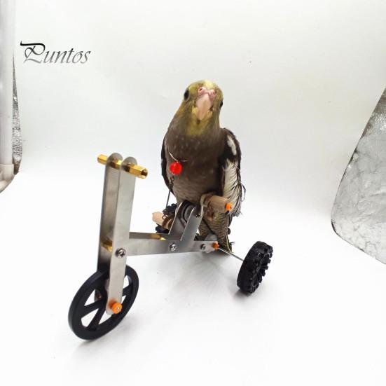 Vogel Fahrrad Spielzeug 1 Set Papagei Training Lustiger Wellensittich Nymphensittich Wellensittich Fahrrad Mini Metall 4 Räder Fußtraining Lernmaterialien Fahrradförmig
