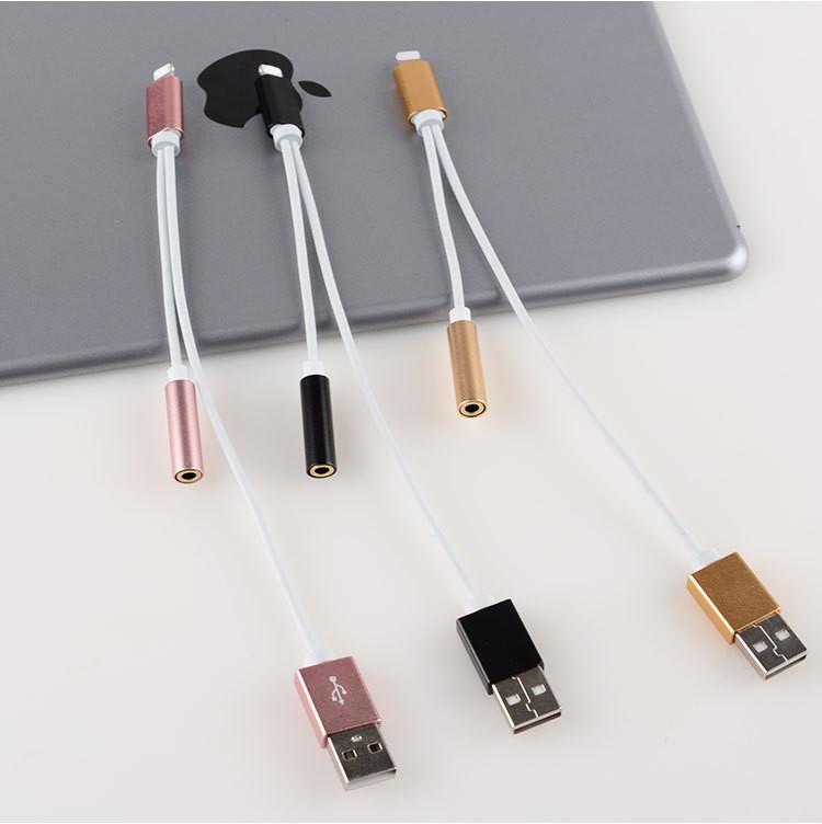 Lightnin Dual 2in1 Adaptateur Chargeur Audio Splitter Separateur Câble Iphone