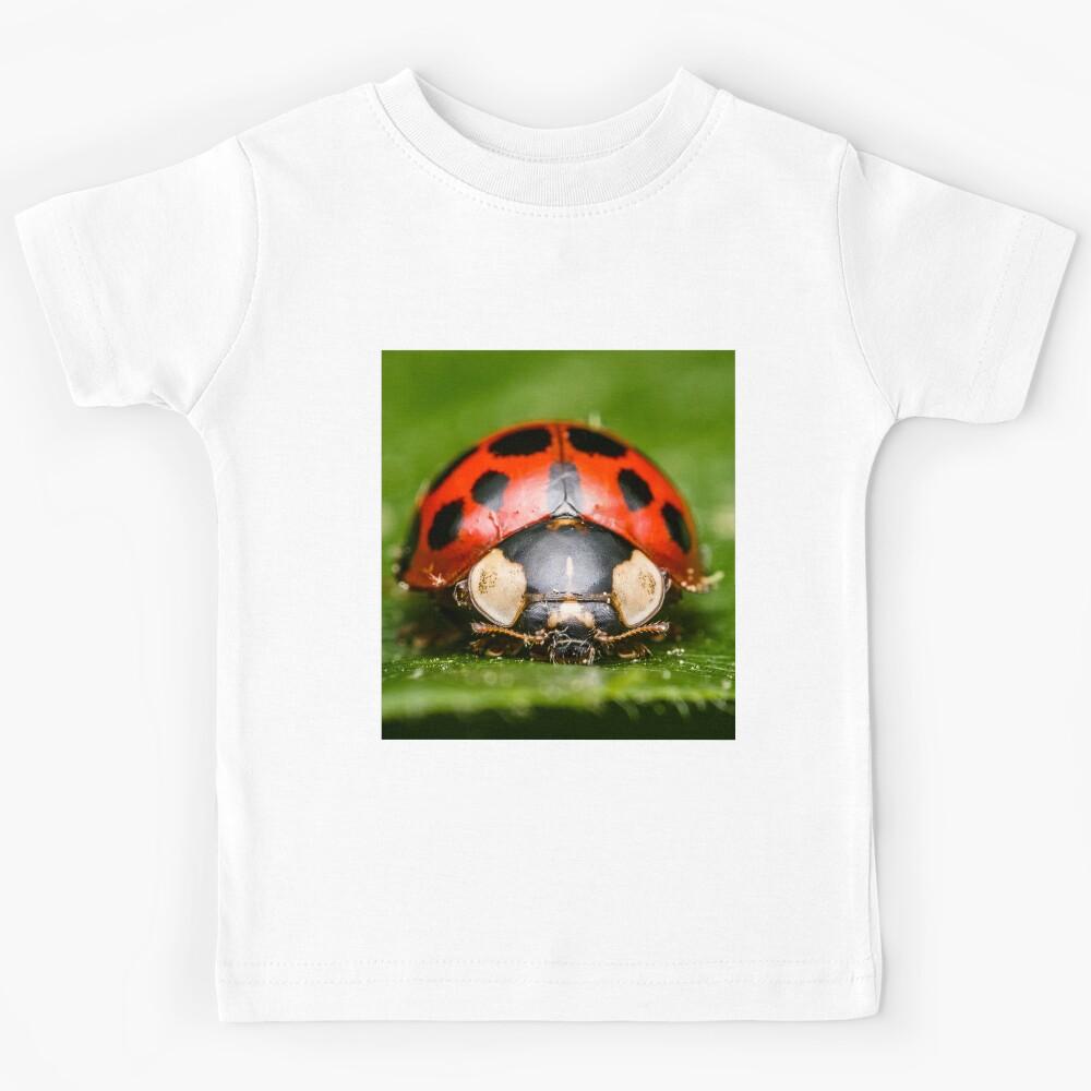 Asian Lady Beetle - Harmonia axyridis Kids T-Shirt 170