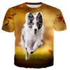 3D Leisure Printing Border Collie New Fashion Men/women T Shirt Tops Short Sleeve T-Shirt