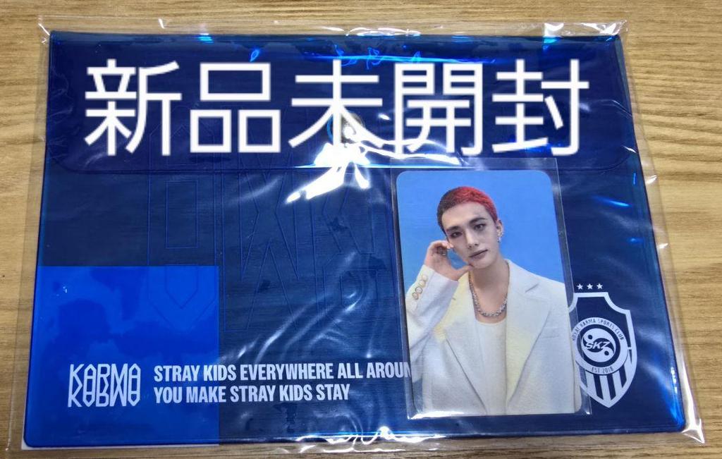 [USED] Stray Kids Hyunjin PVC Pouch Runway Pop-up