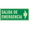SIGN 1021 PLAST.297x148''S.EMERG.DCH''LUM EMERGENCY EXIT RIGHT (LETTER)