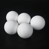 PTFE Diaphragm Pump Balls