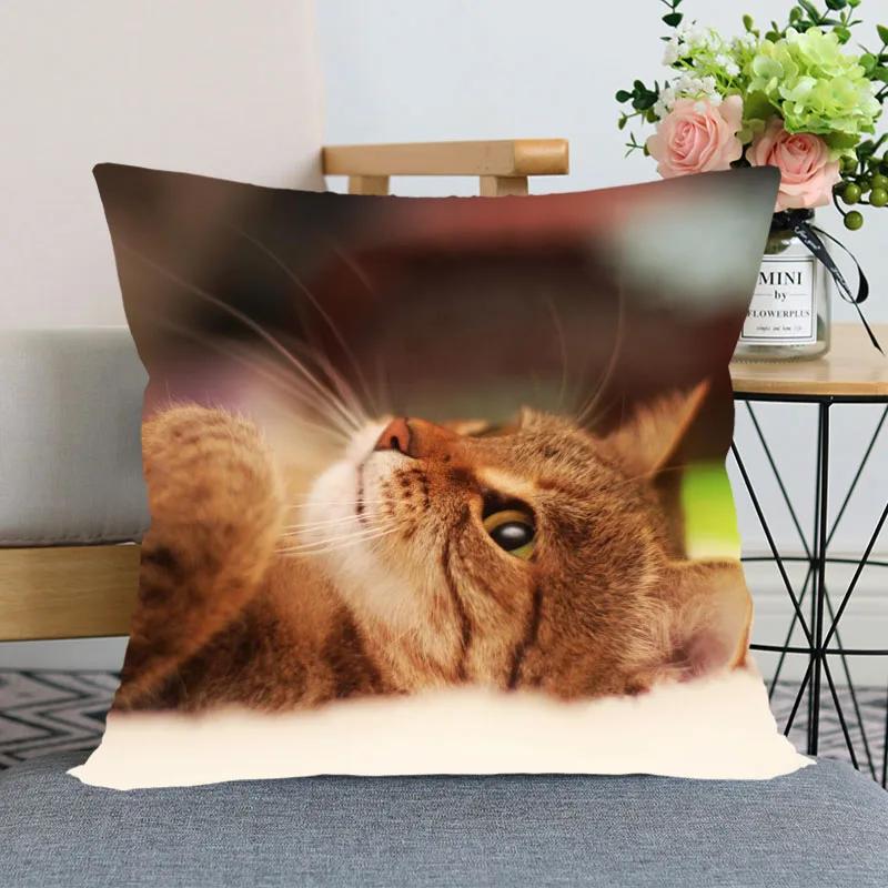 

Милая наволочка для кровати с изображением животных для автомобиля, дивана, домашнего питомца, кошки, наволочка с принтом 40x40cm