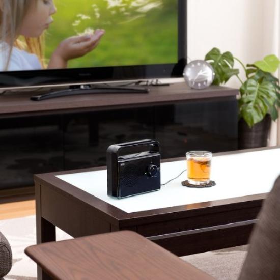 Sanwa Supply TV-Lautsprecher-Erweiterung (5m Kabel, Schwarz) MM-SPTVBK