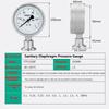 Tri Clamp 50.5mm/64mm Diaphragm Pressure Gauge 100mm Dial Sanitary Stainless Steel Pressure Gauge Bar/PSI