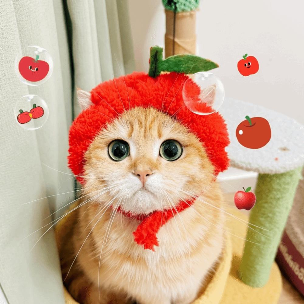 

Funny Cartoon Cat Shark Headgear Cute Fish Shape Cat Decorative Hat Warm Adjustable Fish Head Cat Hat Party