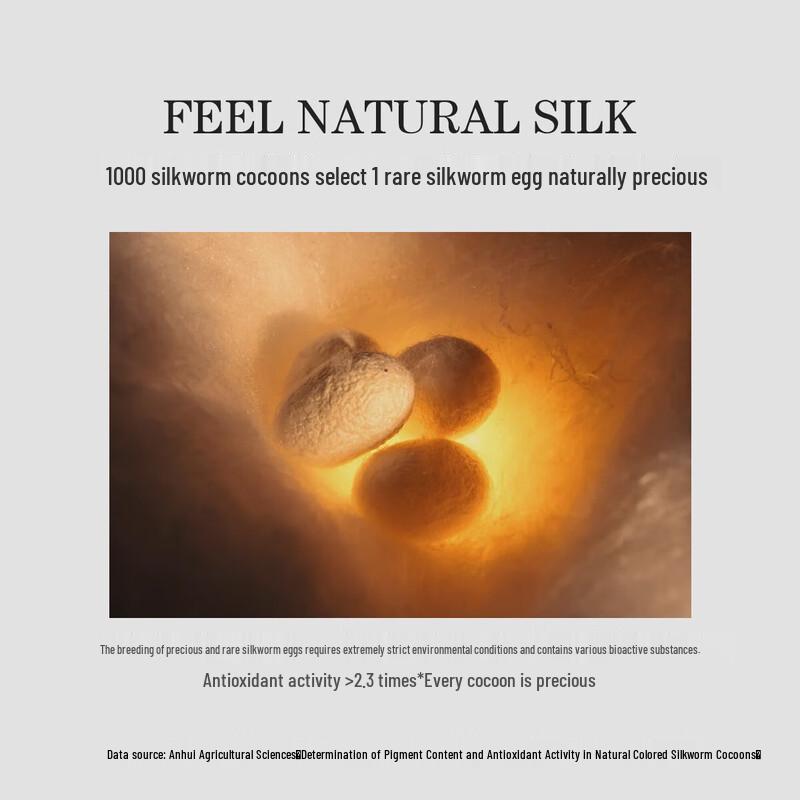 Mercury Home Textiles 100% Mulberry Silk Quilt