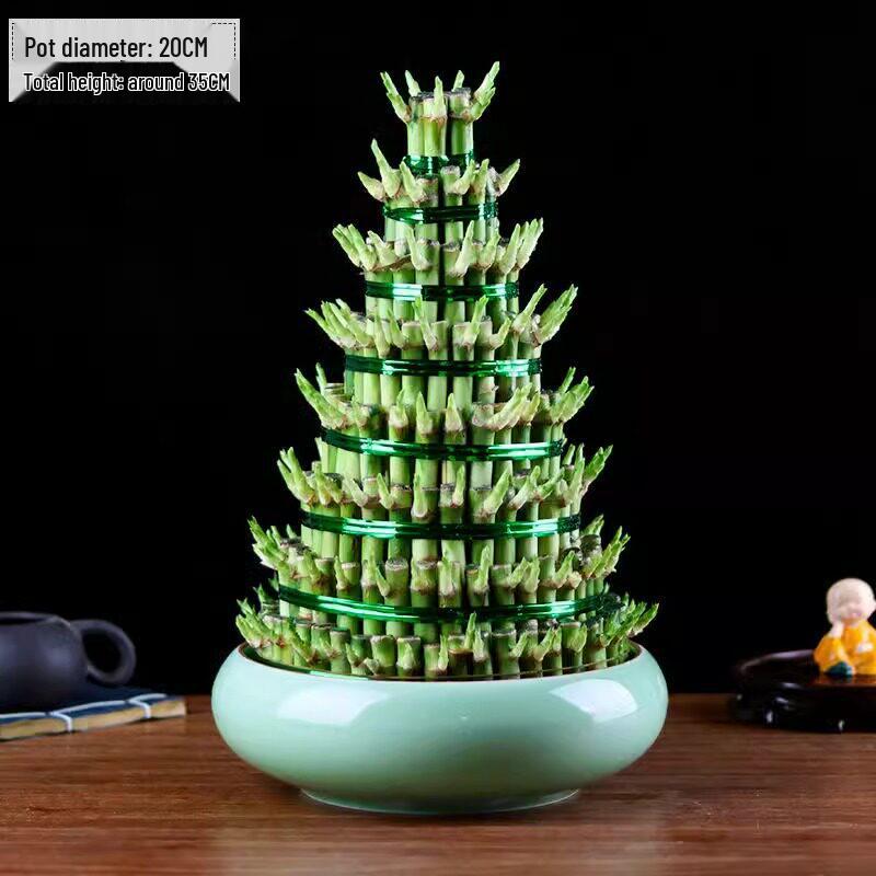 Prosperity Bamboo Tower: Hydroponic Indoor Plant for Wealth and Fortune