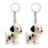 Dog Hair Storage Bottle Pet Memorial Keychain Transparent Hair Locket