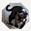 Black Panther Automatic Folding Umbrella Compact 8 rib Design, Unique Style, Suitable for Everyday Outdoor Use, Perfect Gift for Friends and