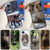 Wild Boar Pig Brown Case For Honor X9a X8a X8b X9b X9c X8 X9 50 70 90 Lite Honor 200 Lite Magic 7 5 6 Pro Cover