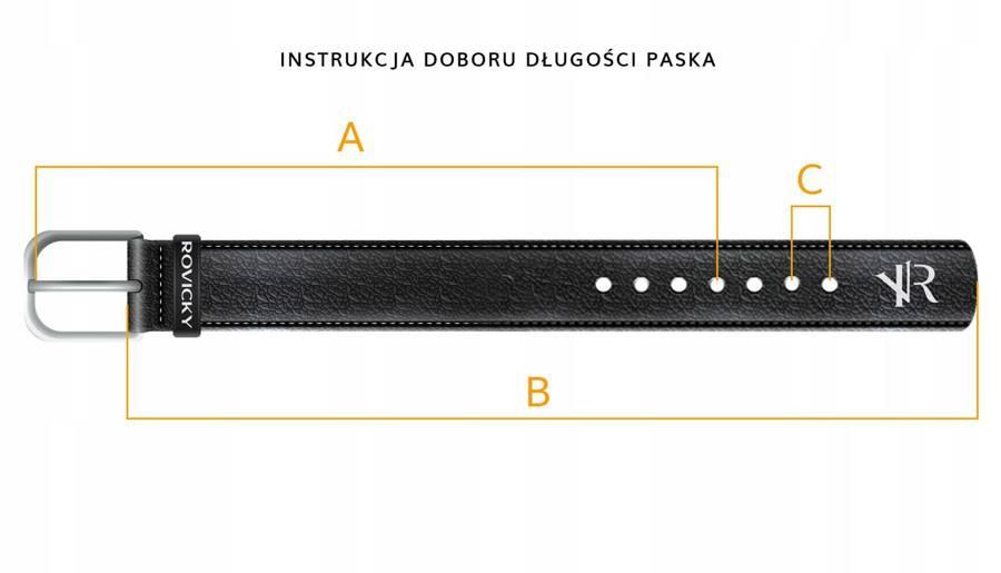 Classic Women's Belt with a Silver-colored Metal Buckle