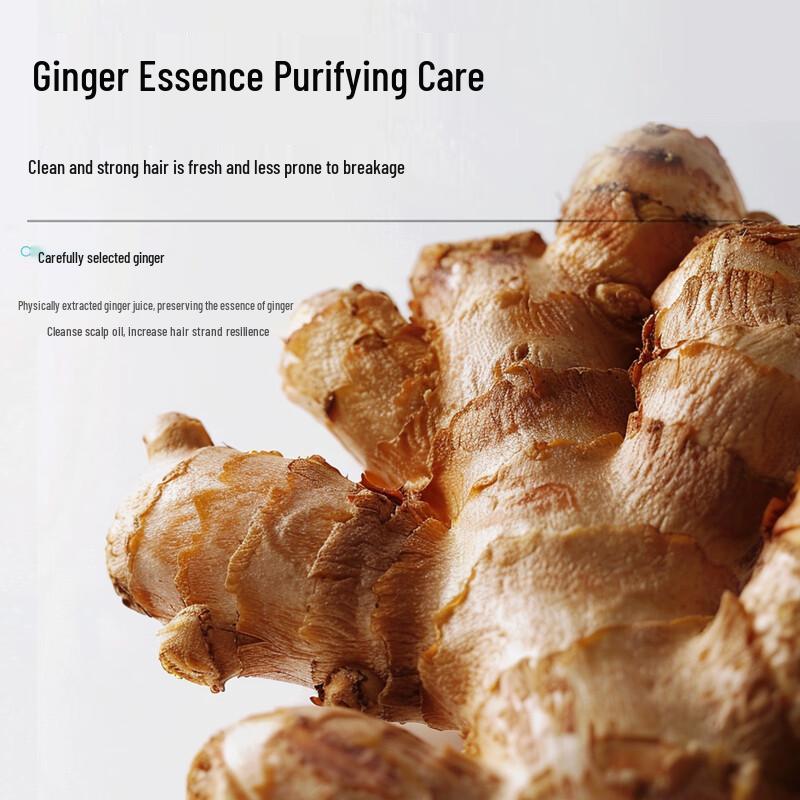Elastic Movement Polypeptide Ginger Oil Control Shampoo