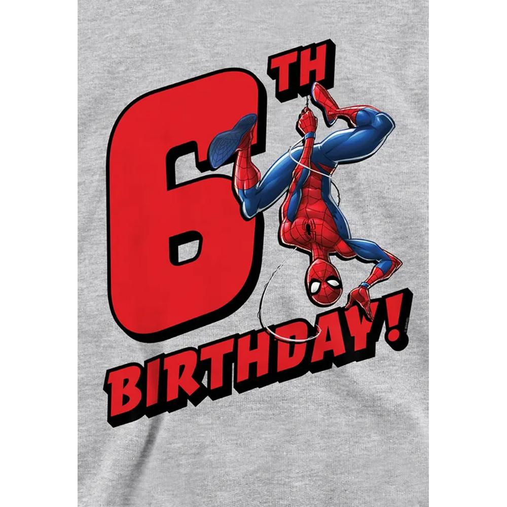Spider-Man Childrens/Kids Heather Pull Over 6th Birthday Hoodie