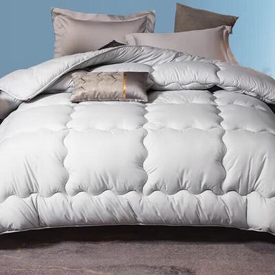 Nanjiren Soft Cotton Warm Winter Quilt