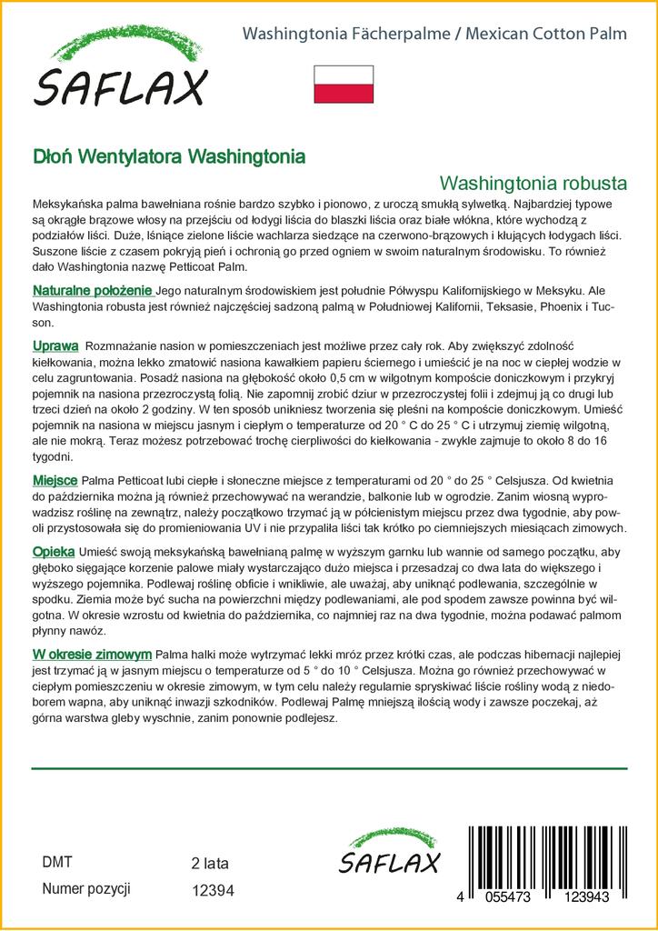 SAFLAX Mexikói gyapotpálma - 12 mag - cserepes szubsztrátummal a jobb termesztés érdekében - Washingtonia robusta