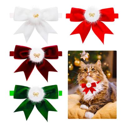 Giyim ve ayakkabı – Köpek Aksesuarları