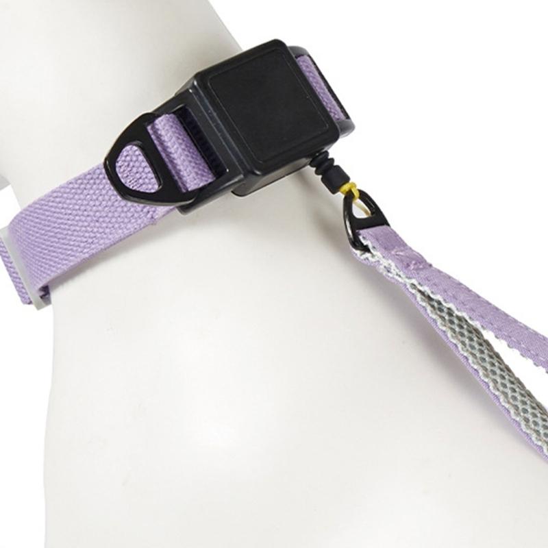 Automatic Extendable Pet Collar For Owners Dog Collar Telescopic Pet Walking Rope