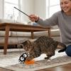 3Pcs Funny Halloween Cat Toys Halloween Style Interactive Play Halloween Cat Wand Toy Plastic Rod Durable Cat Toy Pole