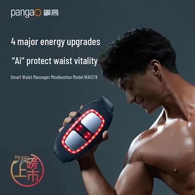 PANGAO Waist8 Red Light Moxibustion Waist Massager CN Plug (adapter Included)